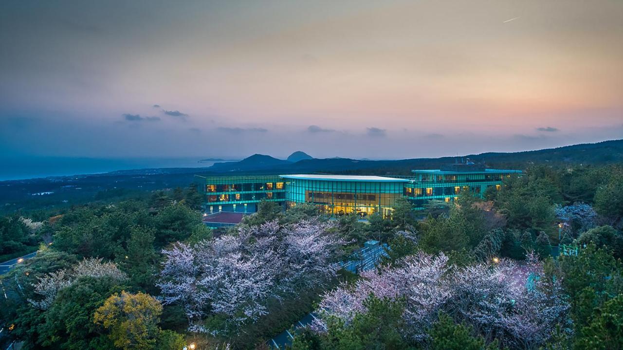 We Hotel Jeju Seogwipo Eksteriør bilde